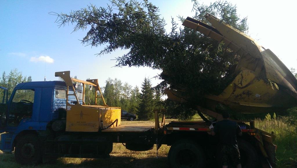 пятый этап работы пересадчик крупномерных деревьев BigJohn90 на базе автомобиля Камаз 65117